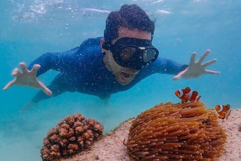 Nemo Island and Big Buddha Mountain Snorkeling from Bangkok 