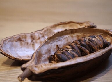 Fine Chocolate Tasting in Turin