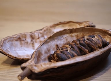 Fine Chocolate Tasting in Turin