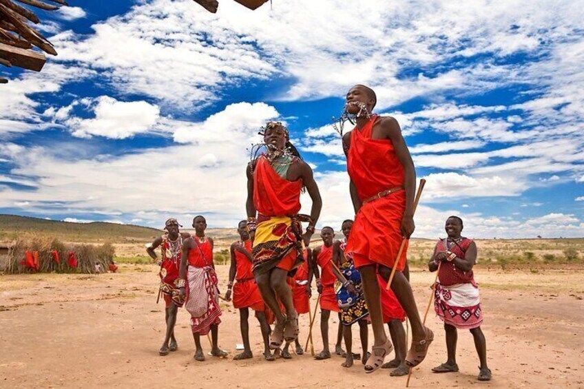 7 Days Samburu Aberdare Lake Nakuru and Masai Mara Luxury Safari