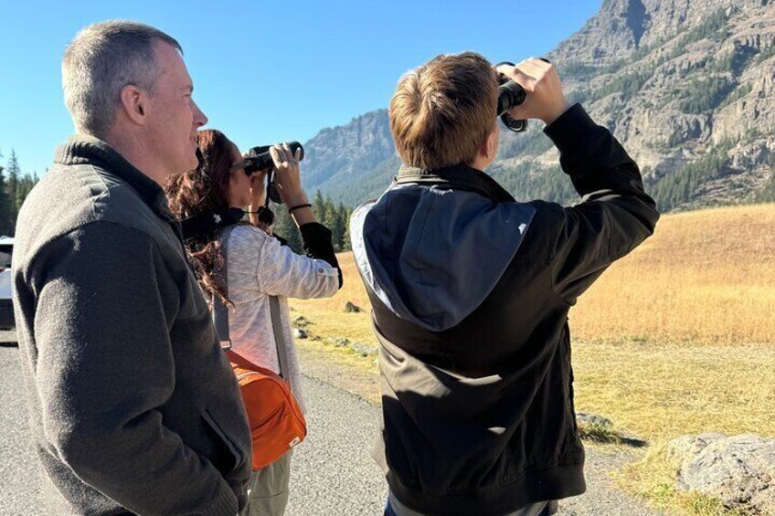 Upper Loop: Lamar Wildlife Safari + Lunch | Gardiner | PRIVATE