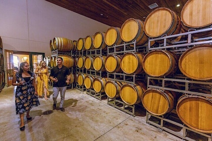 Santa Ynez Full-Day Wine Experience with Picnic Lunch Included