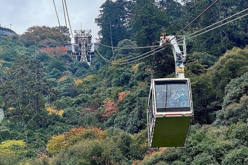 Private Scenic Mountain Castle Tour in Gifu