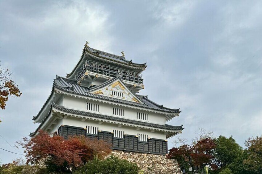 Private Scenic Mountain Castle Tour in Gifu