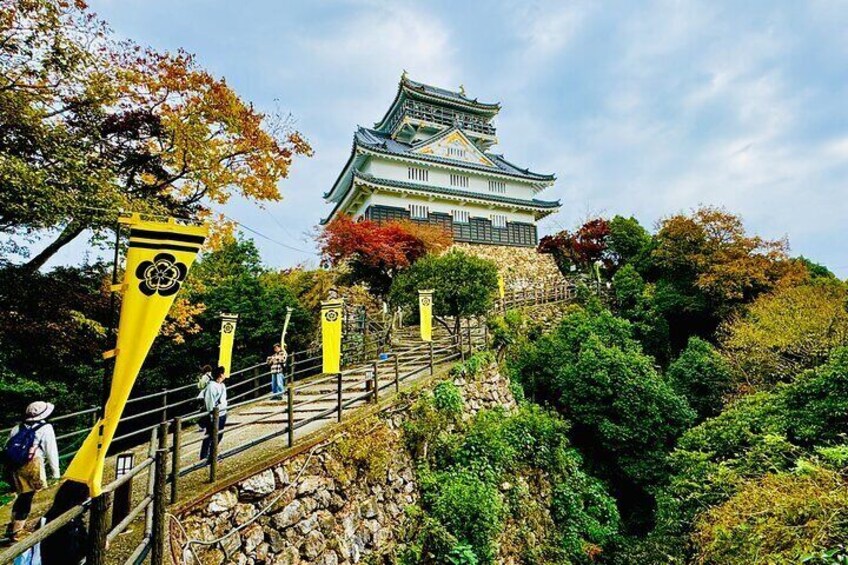 Private Scenic Mountain Castle Tour in Gifu