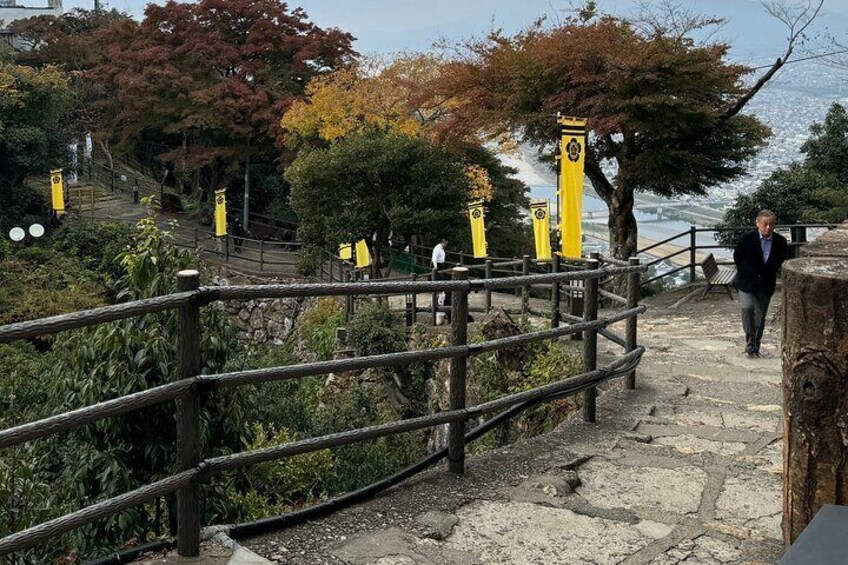 Private Scenic Mountain Castle Tour in Gifu