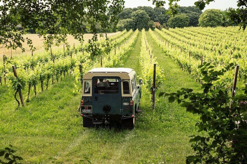 4x4 Vineyard Tour and Wine Tasting