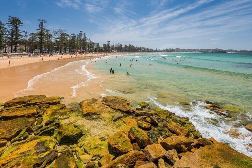 Sydneys Northern Beaches Daily Private Tour Palm Beach