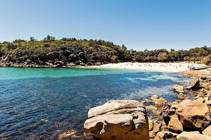 Sydney's Northern Beaches Private Tour Group