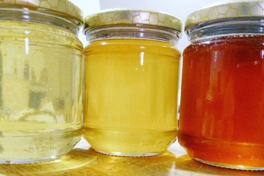 Bosa: discover the products of the beehive