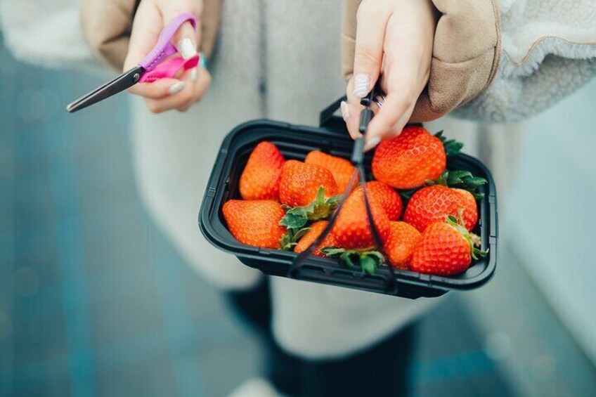 Fukuoka Seasonal Fruit Picking Shopping and TeamLab Day Bus Tour