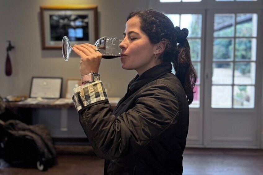 Visit to Pessac-Léognan: Vineyards, Lunch and Tastings included
