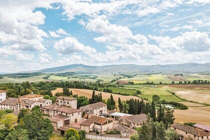 Farm Experience on Tenuta di Mensanello Olive and Wine Tasting