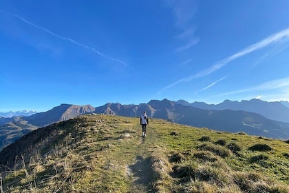 Individual hike in Swiss Alps with local mountaineers