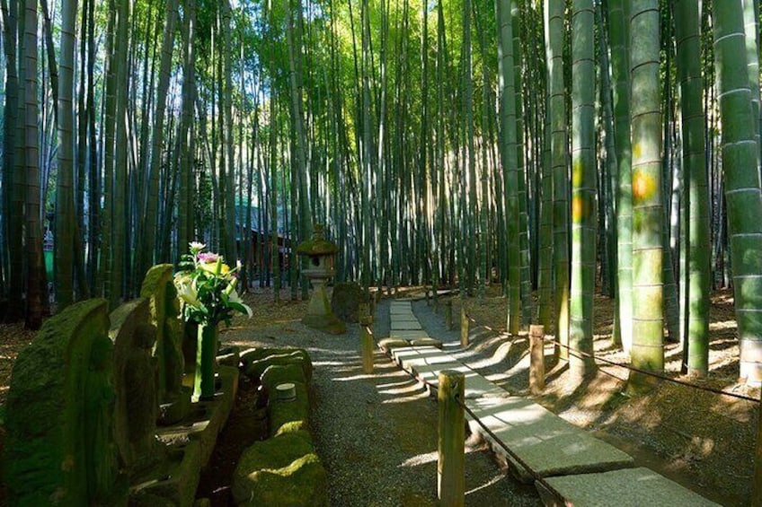 Kamakura tour Great Buddha ,Enoshima with Pro Guide & Driver