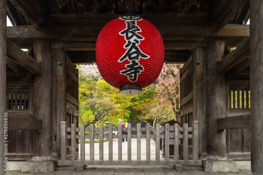 Kamakura tour Great Buddha ,Enoshima with Pro Guide & Driver