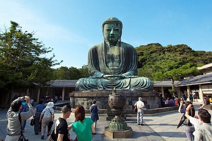 Kamakura Private Tour Great Buddha & Enoshima with English guide