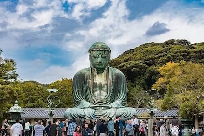 Kamakura Tour Great Buddha Enoshima & English Pro Guide & Driver