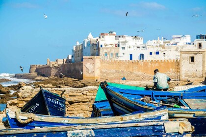 Agadir or taghazout: day in Essaouira with transfer