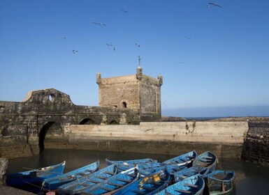 Agadir or taghazout: day in Essaouira with transfer