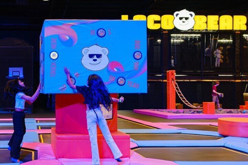 Loco Bear Entertainment Hub