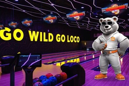 Loco Bear Entertainment Hub
