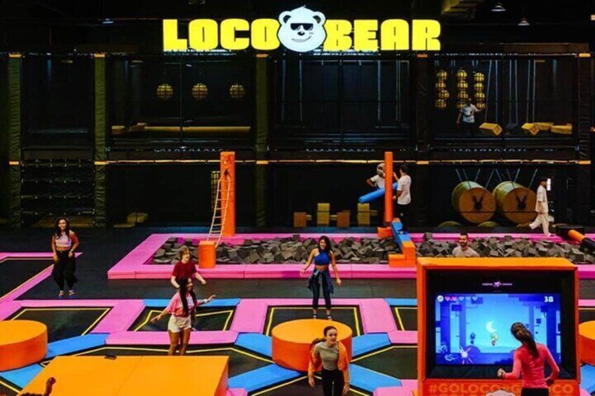 Loco Bear Entertainment Hub