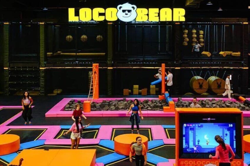 Loco Bear Entertainment Hub