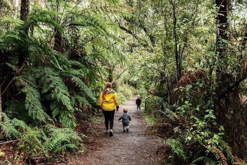 Puffing Billy & Rainforest Tour from Melbourne