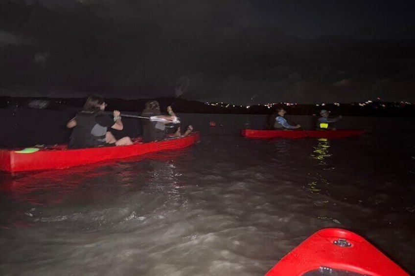 Bioluminescent Kayak Tour in Mosquito Bay