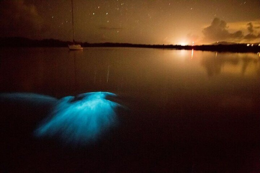 Bioluminescent Kayak Tour in Mosquito Bay