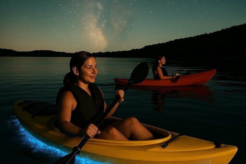 Unforgettable One Day Bioluminescent Kayak Adventure in Vieques