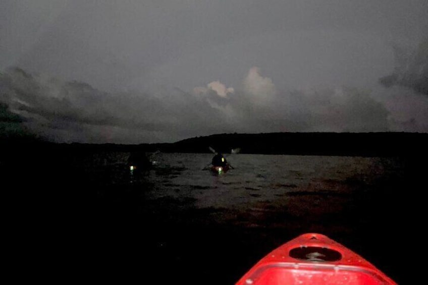 Bioluminescent Kayak Tour in Mosquito Bay