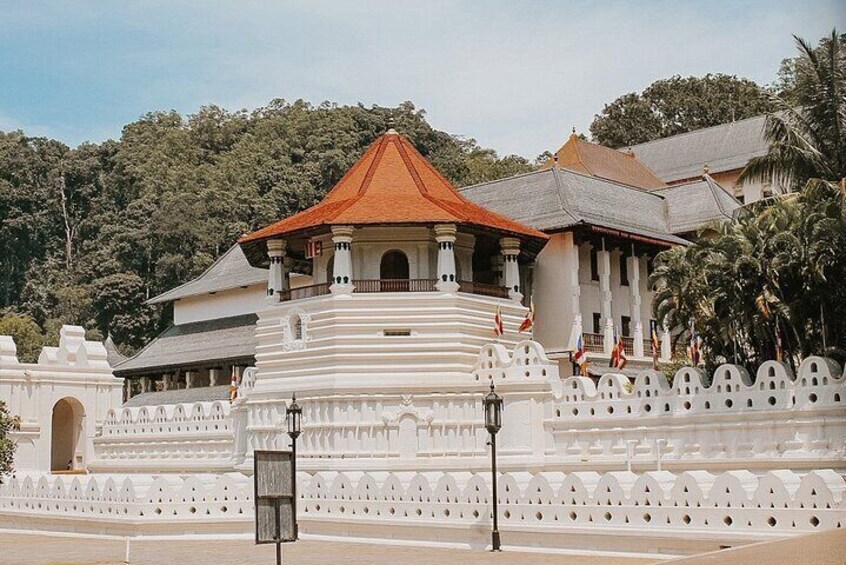 10 Days Private Tour in Sri Lanka
