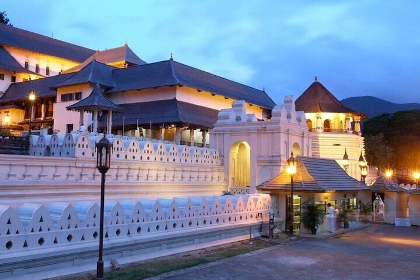 10 Days Private Tour in Sri Lanka
