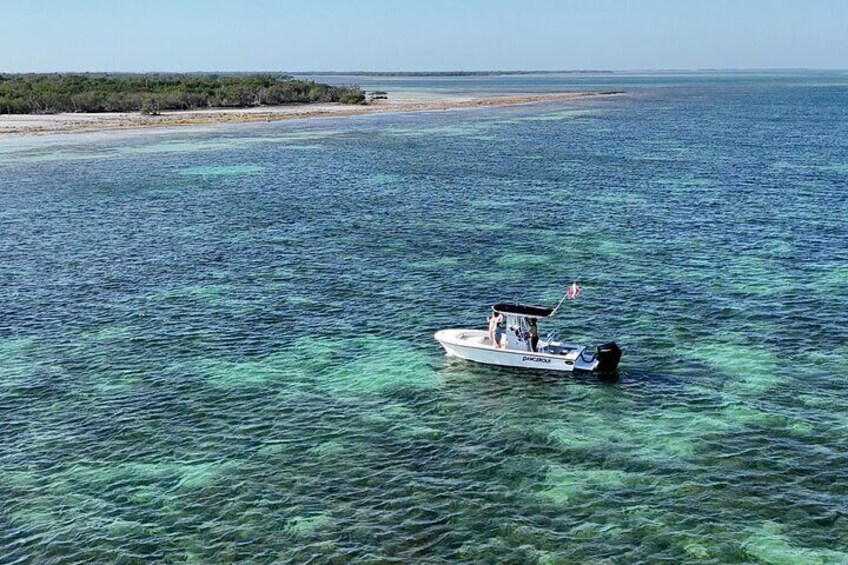 Private 6-person Sandbar & Snorkeling Charter