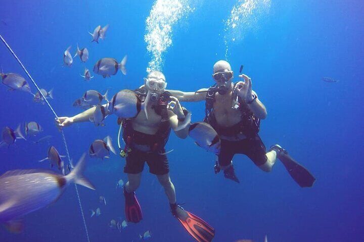 Larnaca Private Zenobia Beginners Divers