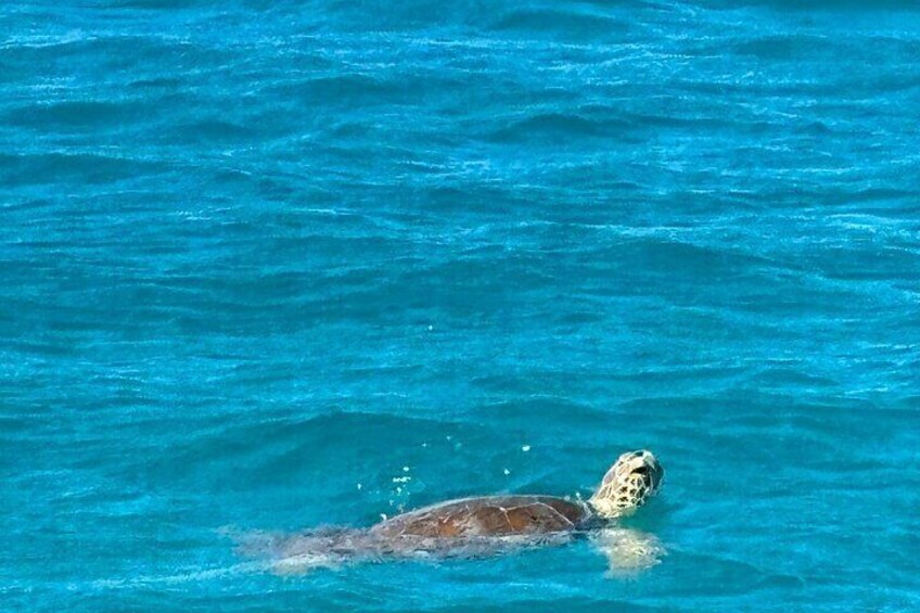 2 days 1 night by private catamaran from St Martin to St Barth