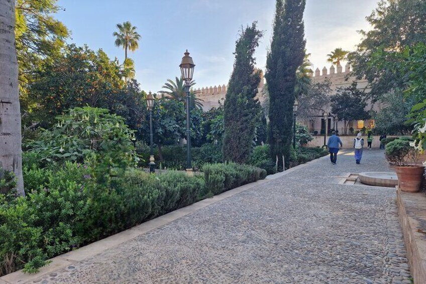 Garden Andalusia