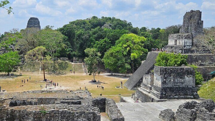 Guided Tour of Tikal from Flores or Airport Private Service