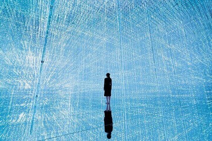 teamLab Planets Tokyo Admission & Tokyo Subway 24-hour Ticket