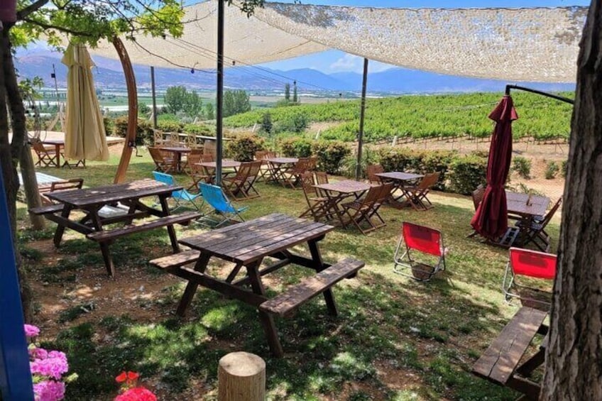 Likya Winery and Arykanda Ancient City Private Tour