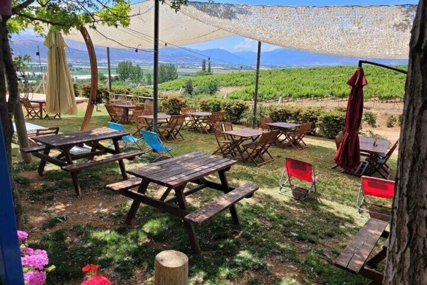 Likya Winery and Arykanda Ancient City Private Tour