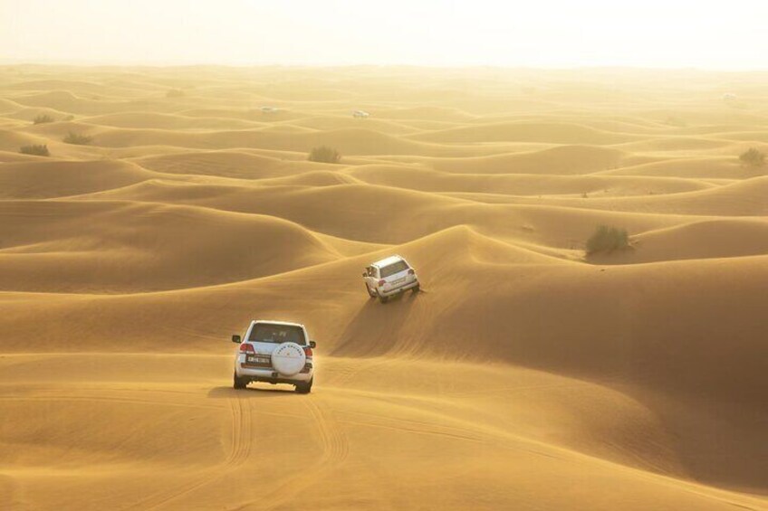 Red Dune Safari
