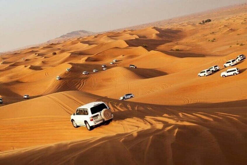 Red Dune Safari