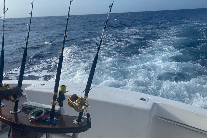 Full Day Private Deep Sea Fishing