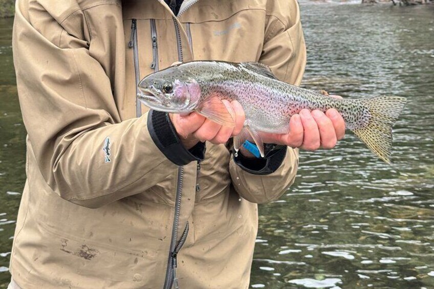 Patagonia Half Day Fish and Feast