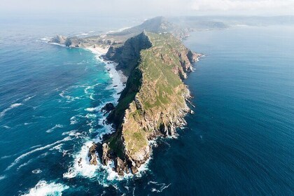 Private Cape Point Tour From Peaks to Penguins with Ticket Option