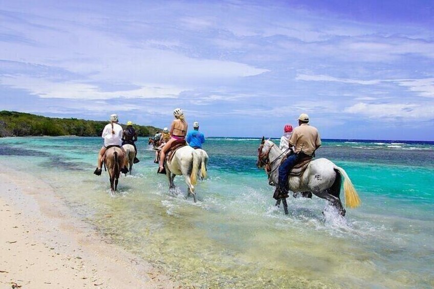 Most popular: All in one ,zipline,animal park,Guided snorkeling tour and beach 