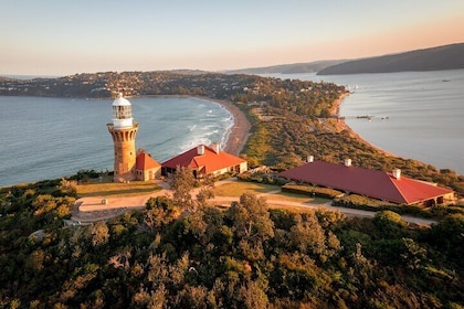 Sydney's Northern Beaches Private Tour